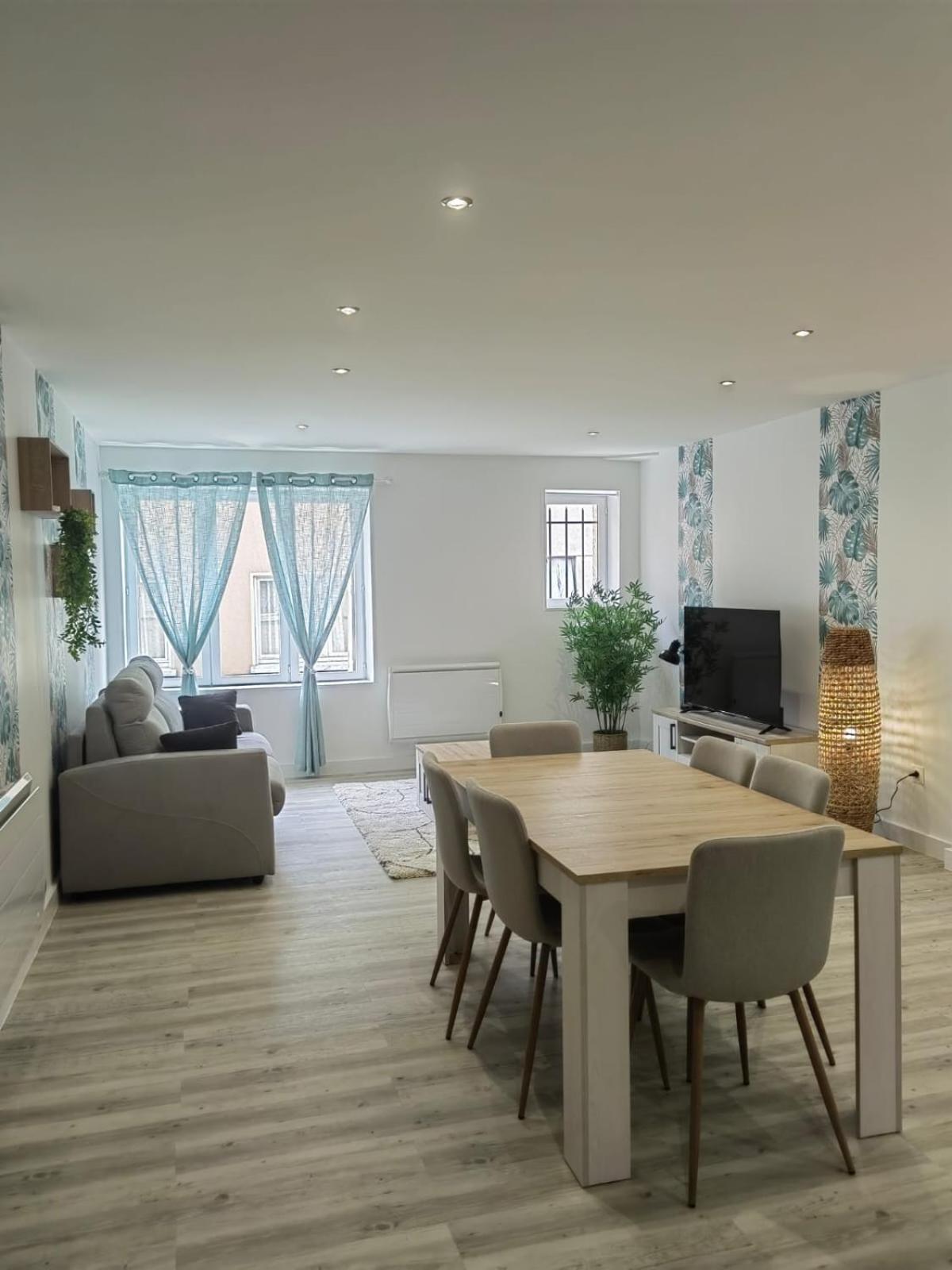 Bel Appartement Bord Du Rhone Valence  Dış mekan fotoğraf